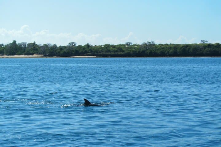 4-Day Mombasa All-Inclusive Beach Getaway with Tamarind Dhow Cruise photo 2