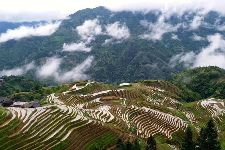 Guilin in 48 Hours: Private Li River Cruise & Longji Rice Terrace Experience photo 5