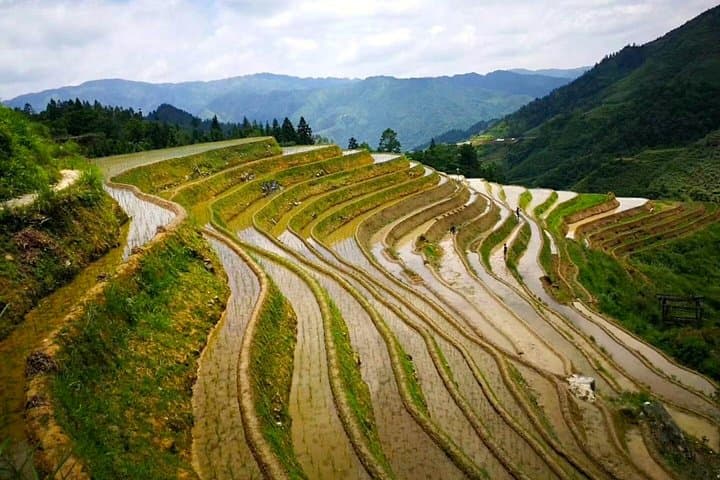 Guilin in 48 Hours: Private Li River Cruise & Longji Rice Terrace Experience photo 6