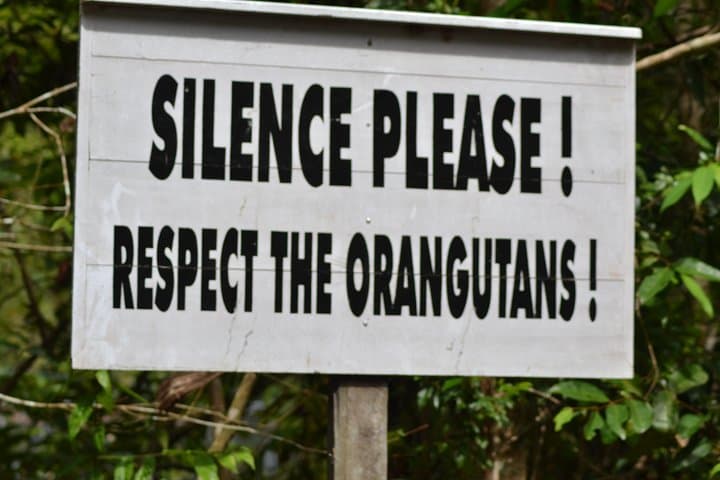 Dayak Lamandau & Orangutan Trek: 6-Day Tanjung Puting Cultural and Wildlife Expedition photo 6