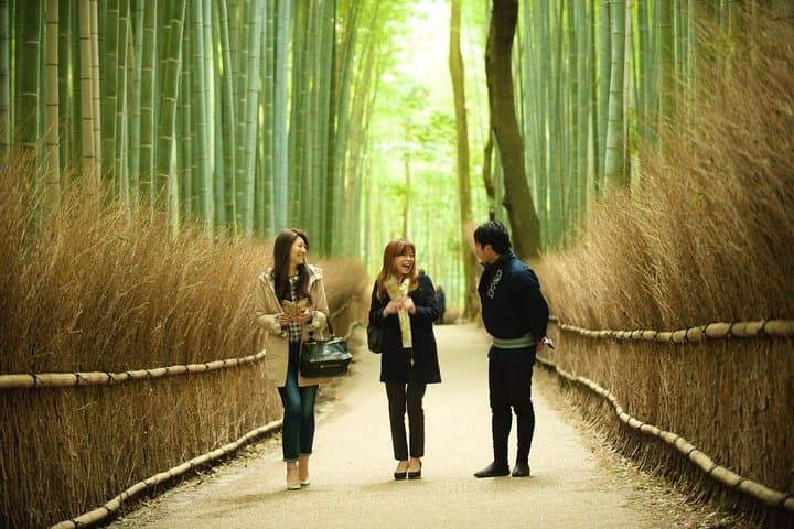 Sagano Rickshaw & Walking Tour: Insider Access to Arashiyama's Bamboo Grove photo 5