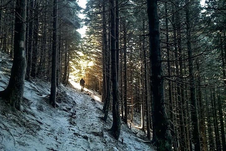 Piatra Mare One-Day Hike: Seven Ladders to the 1844m Summit photo 2
