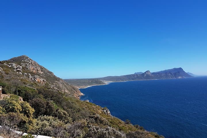 Cape Peninsula Private Tour: Cape Point, Cape of Good Hope & Boulders Penguin Colony photo 2