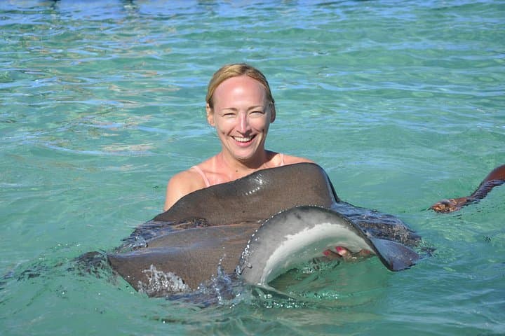 Dive into Adventure: Sharks & Stingrays Encounter in Punta Cana photo 5