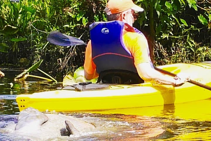 Blue Spring Manatee Kayak: Paddle Among Florida’s Sea Cows photo 3
