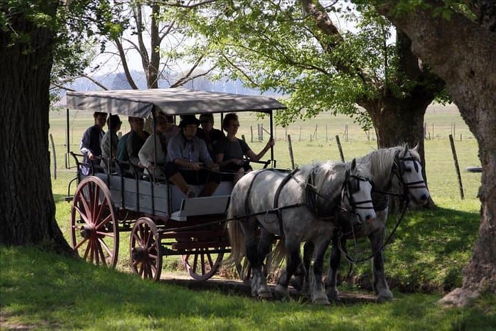 Buenos Aires Super Saver: City Tour, Gaucho Estancia Day & Tango Dinner photo 5