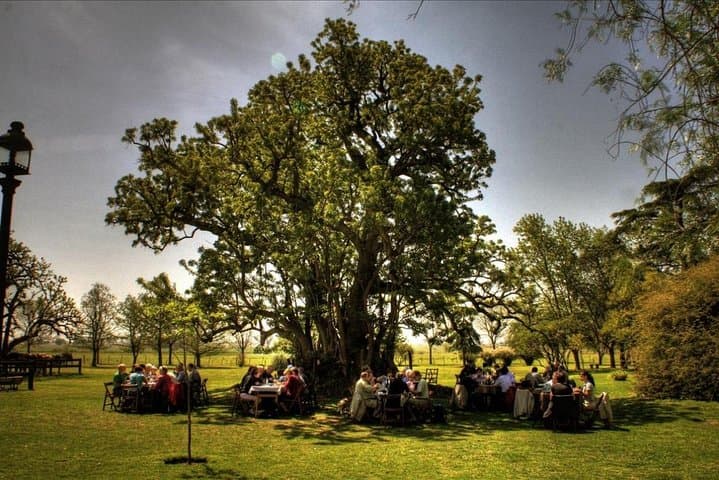 Gaucho Estancia Escape: 2-Day Authentic Farm Stay from Buenos Aires photo 2