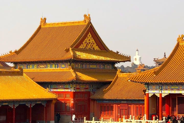 Beijing in Three Hours: Forbidden City & Tiananmen Private Tour Guide photo 4