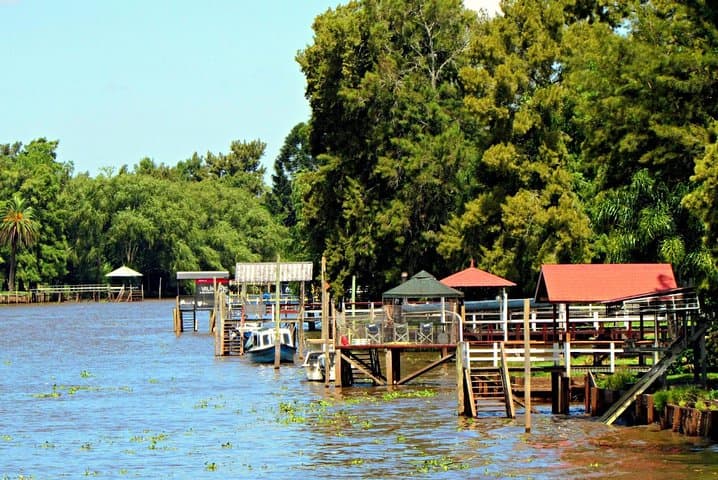 Tigre Delta Day Cruise: Small-Group Shore Excursion from Buenos Aires photo 6