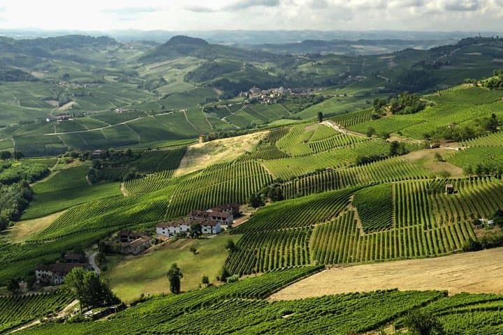 4-Day Piedmont Wine, Truffle & Alpine Culture Tour from Milan