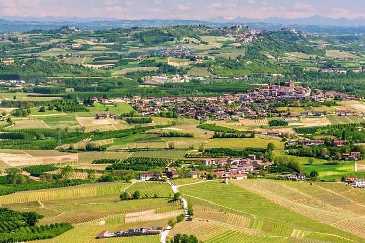 4-Day Piedmont Wine, Truffle & Alpine Culture Tour from Milan photo 3
