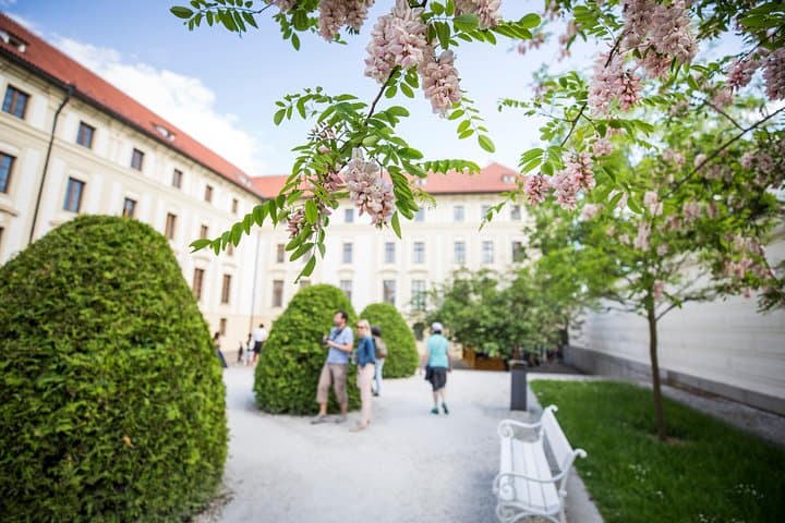 Prague Castle & Vltava Canal Boat Tour: Castle Walks and 45-Minute River Cruise photo 5
