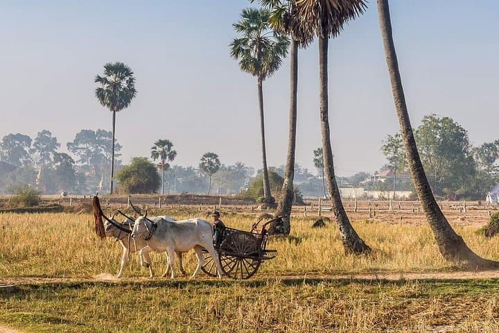 Preah Khan Kompong Svay & Sambor Prei Kuk: Full-Day Private Temple Tour from Siem Reap