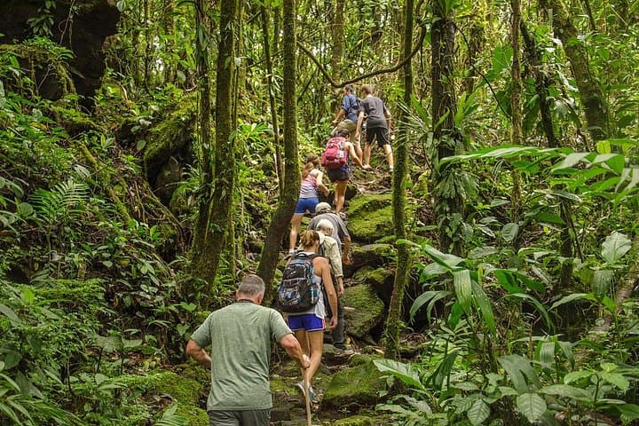 Arenal Volcano Hike and Baldi Hot Springs: La Fortuna Day Tour photo 2