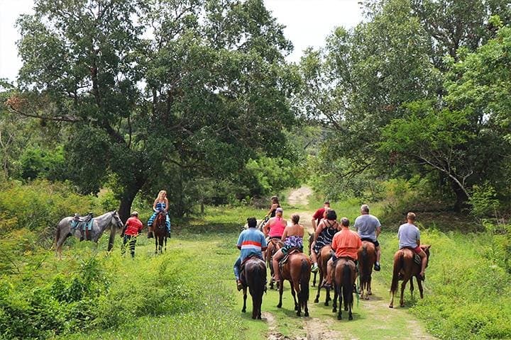 Big Bight Beach Horseback Ride in Roatan — Palapa Access & Transfer Included photo 6