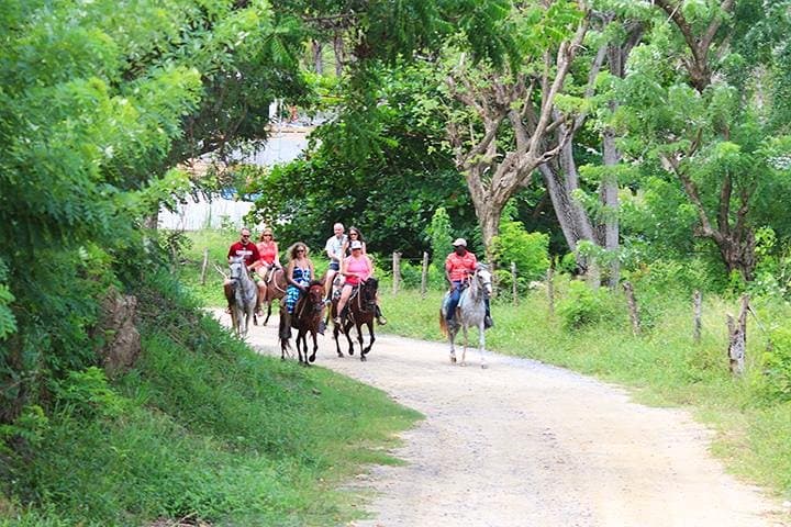 Big Bight Beach Horseback Ride in Roatan — Palapa Access & Transfer Included photo 4