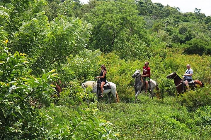 Big Bight Beach Horseback Ride in Roatan — Palapa Access & Transfer Included photo 2