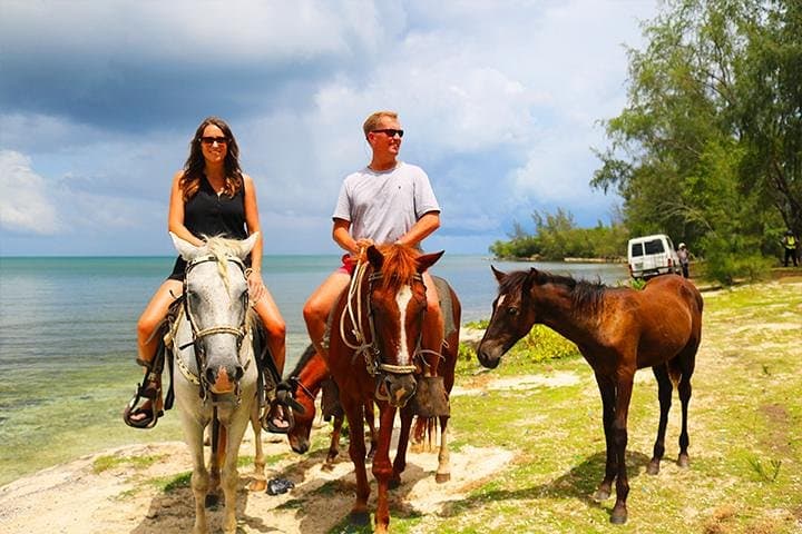 Big Bight Beach Horseback Ride in Roatan — Palapa Access & Transfer Included