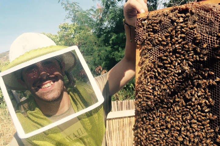 Exploring Hawaii’s Honey Farm: An Insider’s Beekeeping Tour