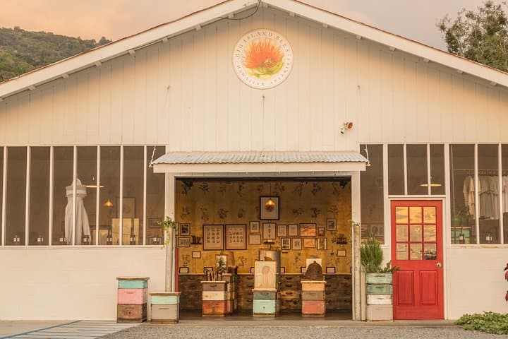 Exploring Hawaii’s Honey Farm: An Insider’s Beekeeping Tour photo 4