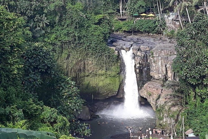 Ubud Waterfall, Swing & Tirta Empul: Private Day Tour from South Bali photo 3