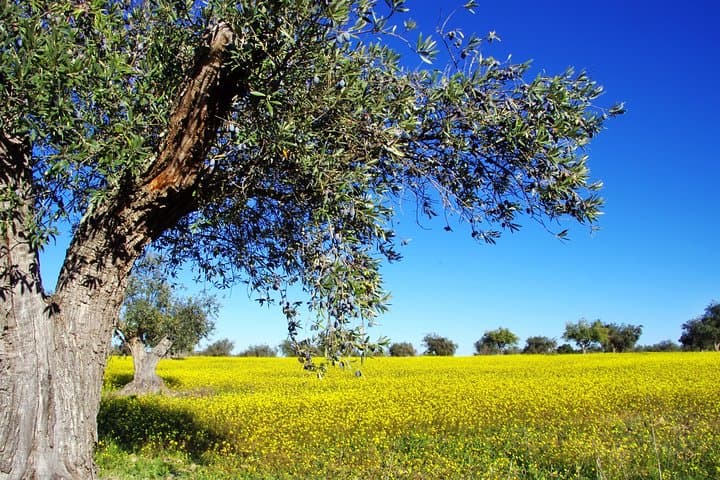 3-Day Private Tour from Athens to Delphi, Meteora & Thermopylae photo 3