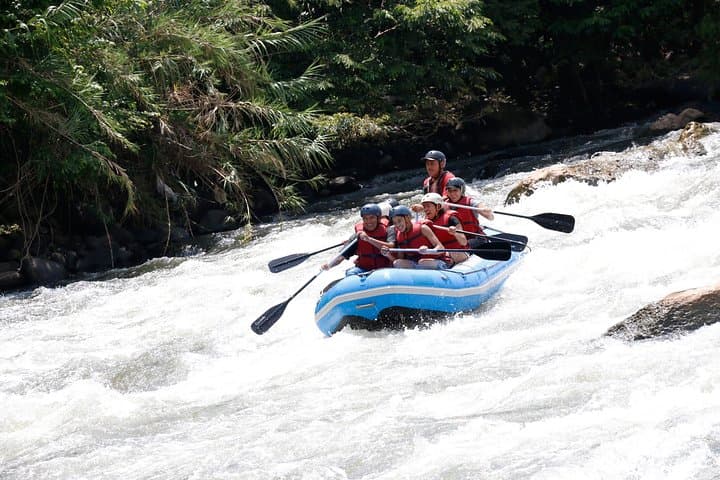Rafting Rio Pescados: 18 km Whitewater Adventure Near Veracruz photo 2