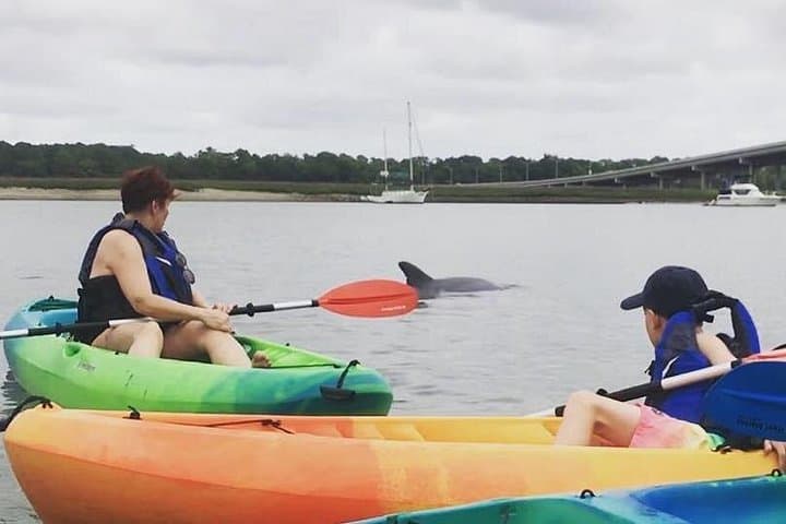 Hilton Head Morning Kayak Eco Tour — Broad Creek Wildlife & Dolphin Paddle photo 1