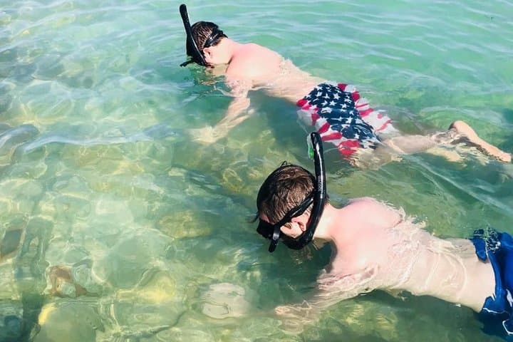 Shell Key Dolphin Cruise & Snorkel from Tierra Verde — 2-Hour Small-Group Experience photo 3