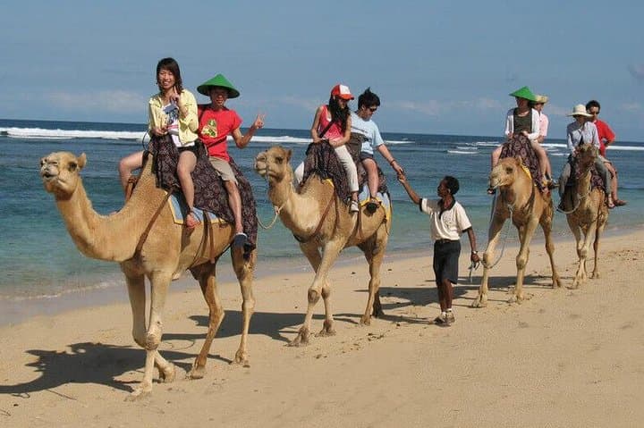 30-Minute Bali Camel Safari on Sawangan White Sand Beach photo 4