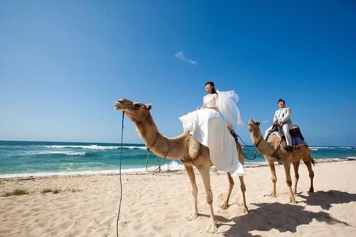 30-Minute Bali Camel Safari on Sawangan White Sand Beach photo 5