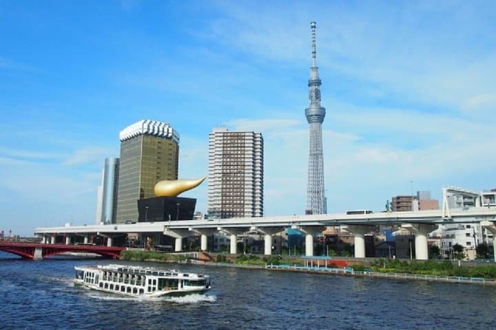 Custom Tokyo Private Tour — Choose 4 Destinations with a Local Guide photo 3
