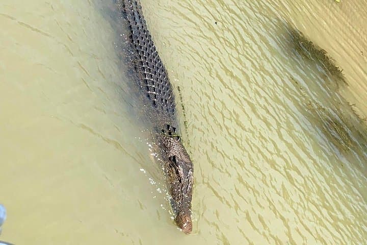 Kakadu Yellow Waters Cruise and Katherine Gorge Helicopter Scenic Air Tour from Darwin photo 4