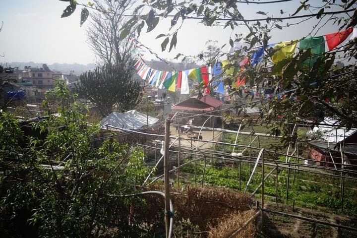 Organic Food Experience and Mini-Trek in Kapan, Kathmandu photo 3
