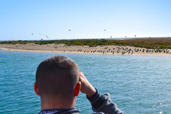 Ria Formosa Eco Tour from Faro: Ilha Deserta by Marine Biologist photo 2