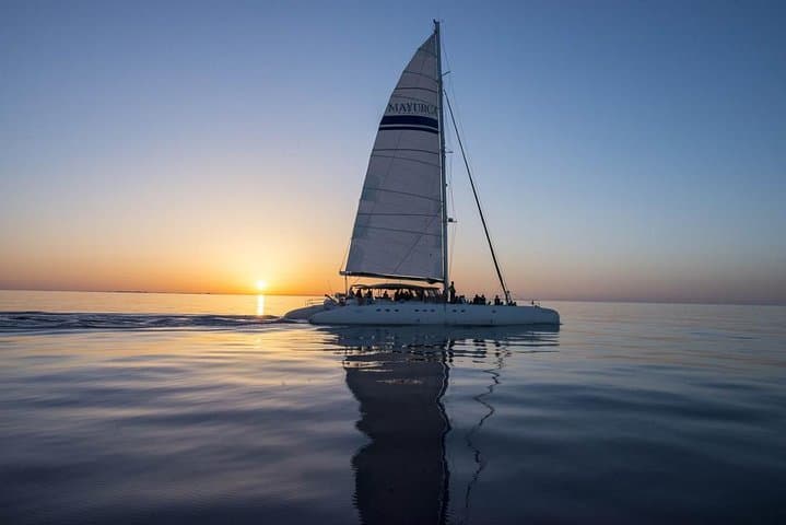 Catamaran Cruise from Cala Ratjada to Cap des Freus & Llevant Natural Park photo 4