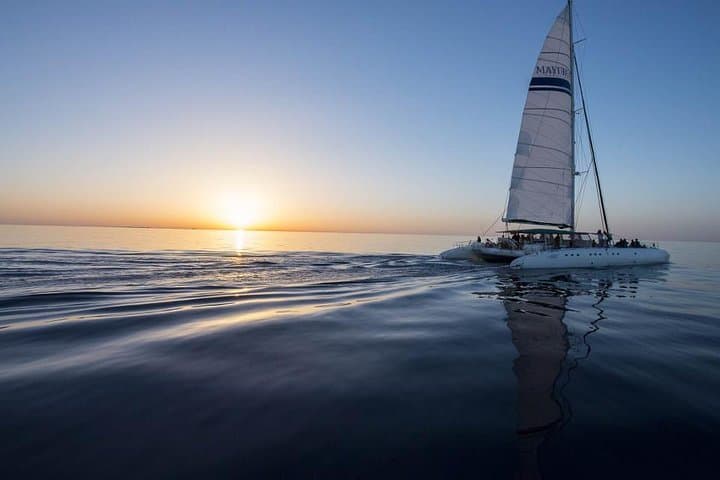 Catamaran Cruise from Cala Ratjada to Cap des Freus & Llevant Natural Park photo 6