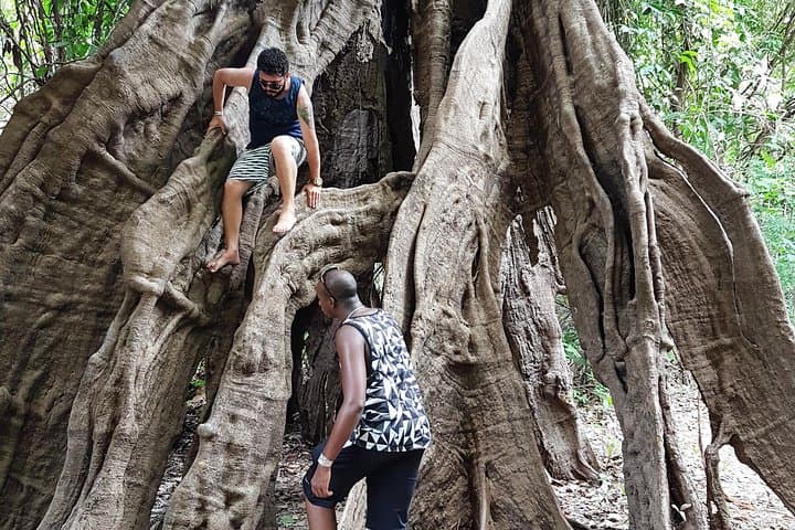 Amazon Jungle Adventure: 5-Day Manaus to Paricatuba Lodge Expedition photo 3