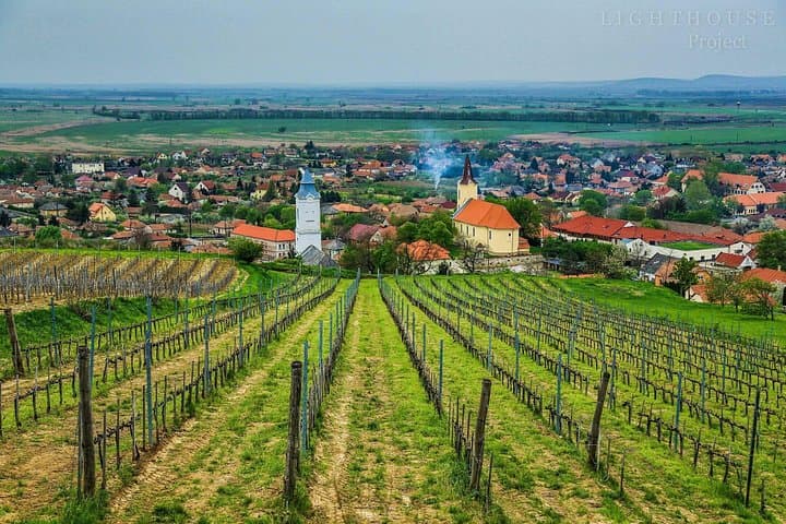 Full-Day Tokaj Private Wine Tour from Budapest — Taste Aszú in the Zemplén Hills