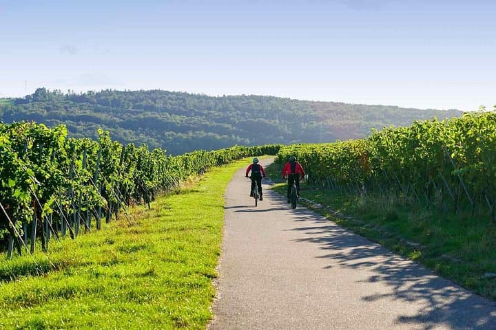 E-Bike Penedès Wine Tour from Barcelona: Vineyards, Cava & Tastings photo 3