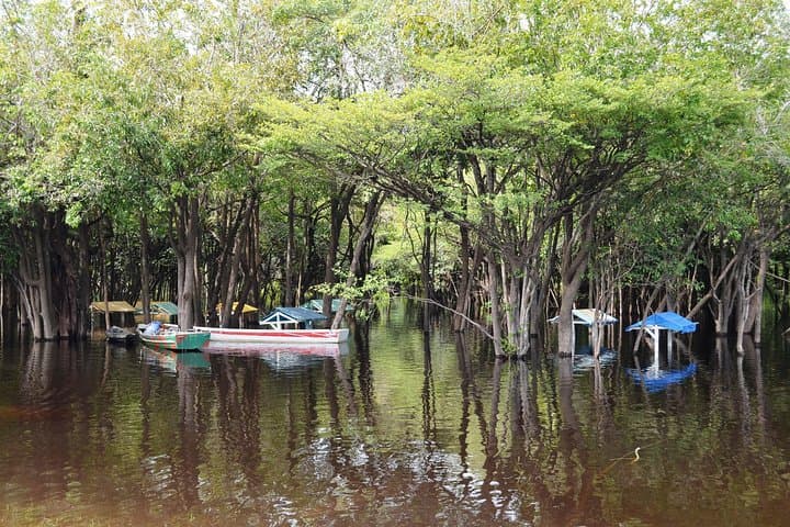 Overnight Amazon Lodge: 2-Day Jungle Adventure from Manaus photo 4