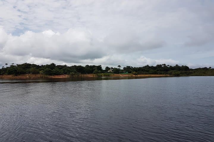 Amazon Jungle Adventure: 5-Day Manaus to Paricatuba Lodge Expedition photo 6