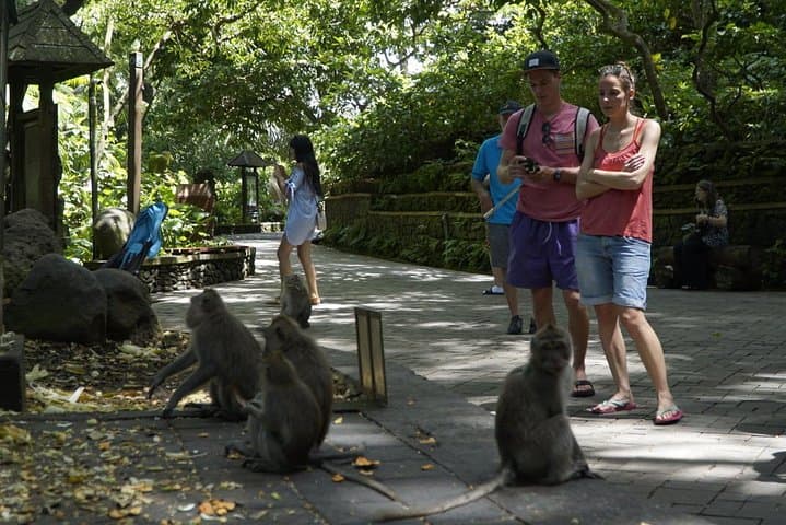Bali Private Tour: Nungnung Waterfall, Sangeh Monkey Forest & Tanah Lot at Sunset photo 3