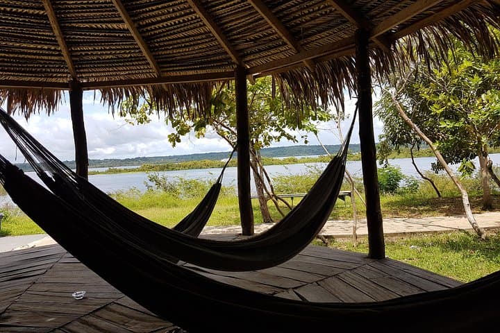 Overnight Amazon Lodge: 2-Day Jungle Adventure from Manaus photo 6