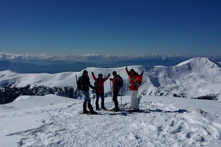 Snowshoe the Pyrenees: Day Trip from Barcelona to Rasos de Peguera photo 4