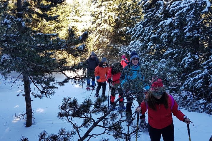 Snowshoe the Pyrenees: Day Trip from Barcelona to Rasos de Peguera photo 5