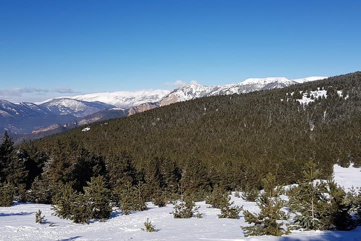 Snowshoe the Pyrenees: Day Trip from Barcelona to Rasos de Peguera photo 6
