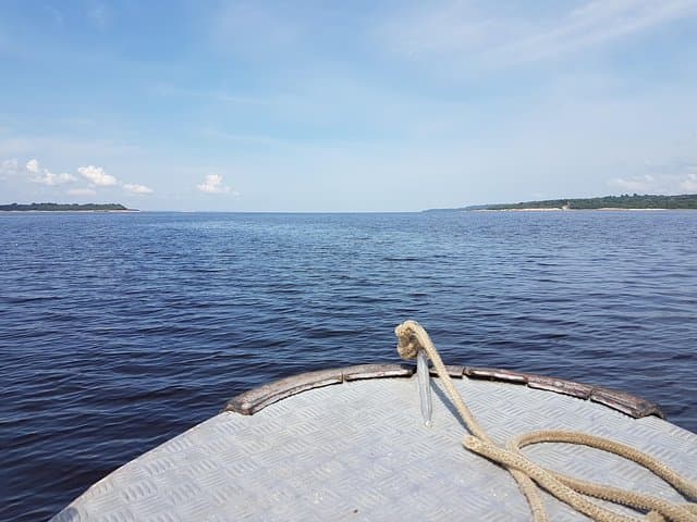 8-Hour Amazonas Jungle Trek and Anavilhanas Archipelago Day Tour from Manaus