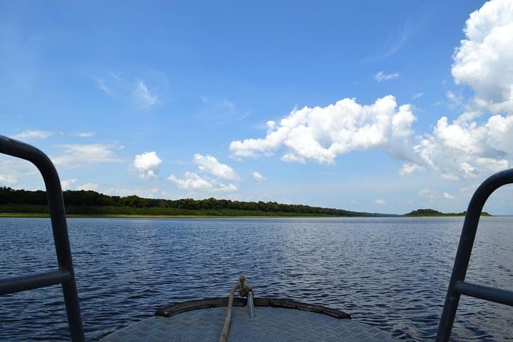8-Hour Amazonas Jungle Trek and Anavilhanas Archipelago Day Tour from Manaus photo 3