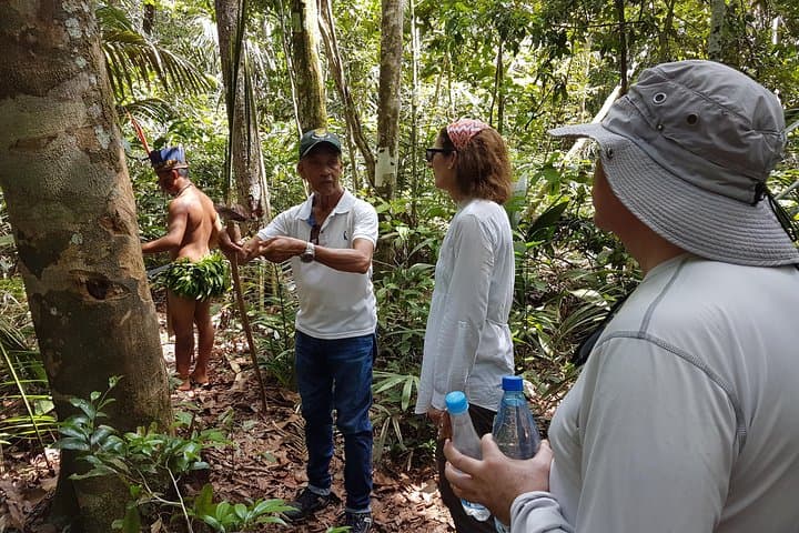 8-Hour Amazonas Jungle Trek and Anavilhanas Archipelago Day Tour from Manaus photo 4